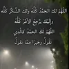 user5491714961731