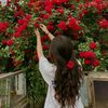 nrayni_97