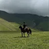 kaaannoo