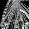 user19119256352471
