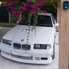 megred.boss