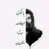 ali_2012_73