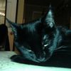 sam_elham