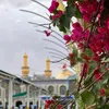adelabd84