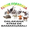 fermefofanaba