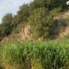 user9961105843761