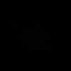 .pzl8