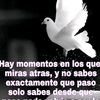 mnicaalfaro95