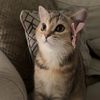 lola343870