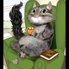 gina.carin.selis