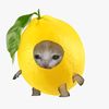 js_sillylemon
