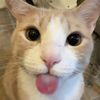 leroy.dacat