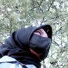 linam120307