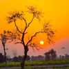 pindvibes1