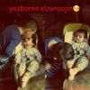 abohossien41