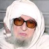 مولانا محمد امیر بجلی گھر