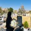 shahin.mzafar
