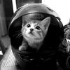 luki_4_ever