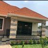 edisonrocky256