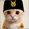 itzyogs