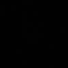 rr_il82
