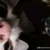 alcoholoh