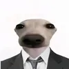 daykhanh5