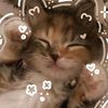 hana.ahmed3133