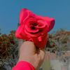 user8167615496700