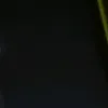 user5271519882