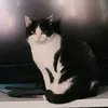segerscindy3