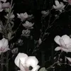 sofffiixxx_rrr