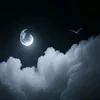 far_in_dark