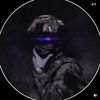 dj_maestro_evgen