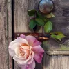 at96at
