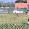 leo_mecchia010