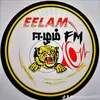 eelamsstar001