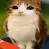 una_persona_ramdon.xd