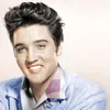 elvis5846
