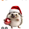 sarahsbm974