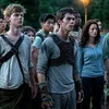 maze_runner_edits81