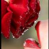 user3740978012828