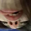 betetcte09