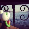 rhmadnia._n