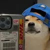 kacaio_100