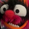 muppetvisiion