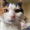 kalicat06