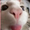 itsjustjas67