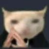 nhuyecutii