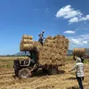 nguyenhuyhoang67890